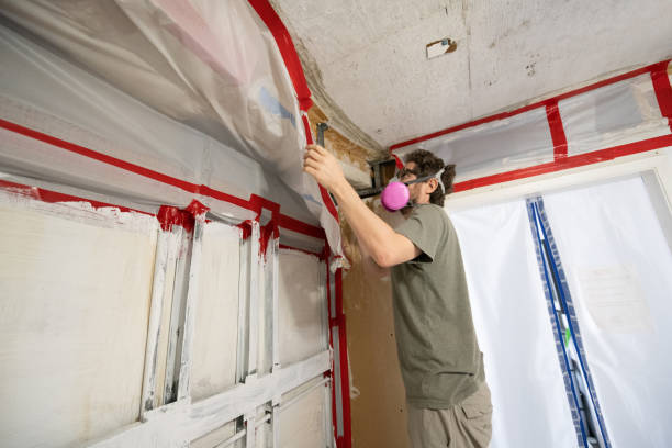 Best Dehumidification Services  in Hahira, GA