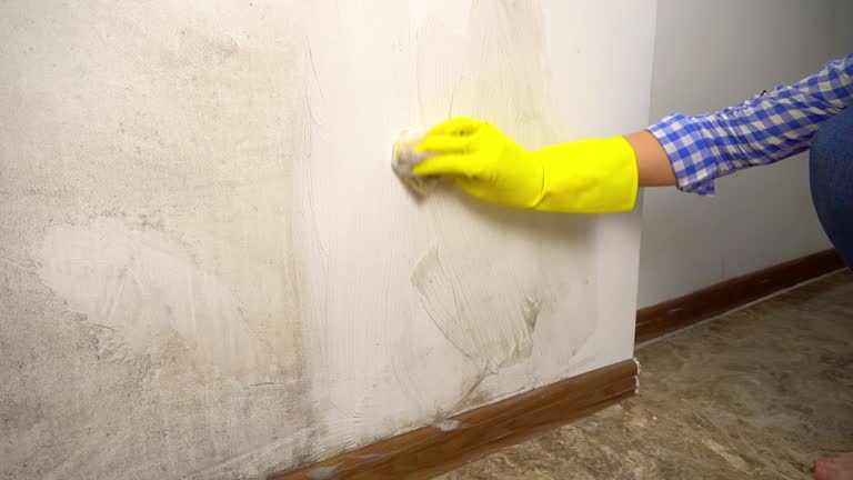 Best HVAC Mold Inspection and Cleaning  in Hahira, GA