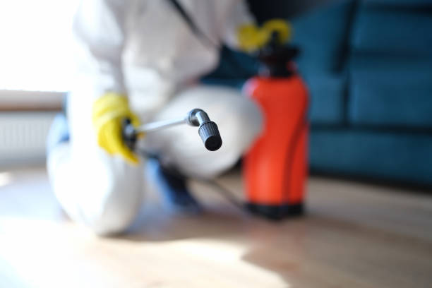 Best Airborne Mold Testing  in Hahira, GA