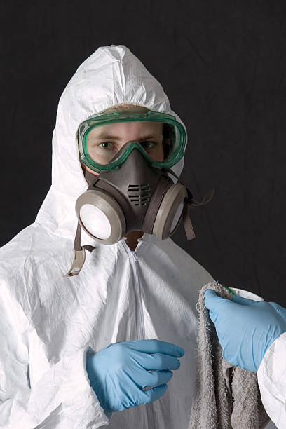 Best Crawl Space Mold Remediation  in Hahira, GA